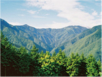 採水地：埼玉県秩父市大滝