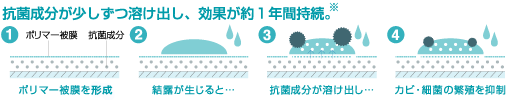 抗菌成分が少しずつ溶け出し、効果が約1年間持続。